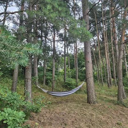 Pod Sosnami- Z Goraca Balia * Swornegacie