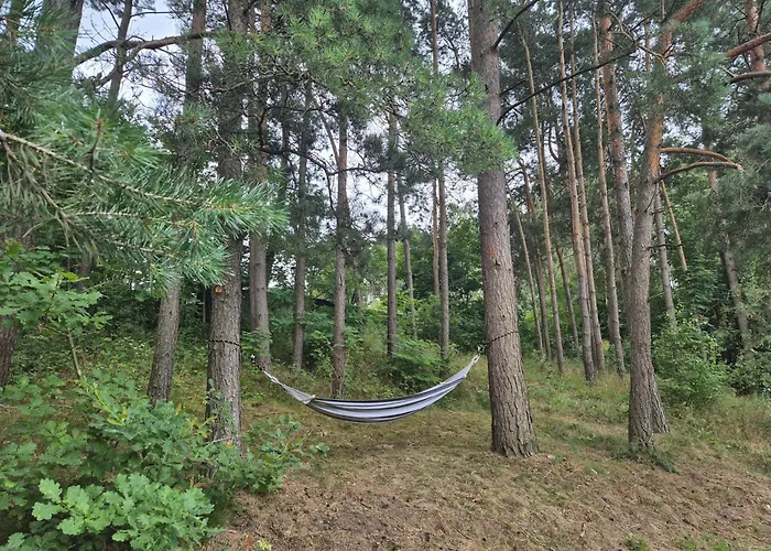 Pod Sosnami- Z Goraca Balia * Swornegacie